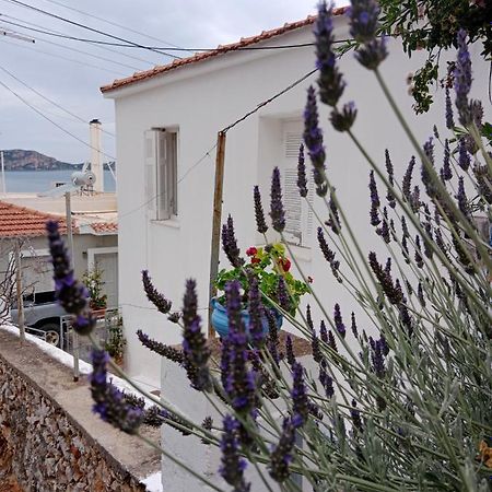 George Traditional House Pylos Exterior foto
